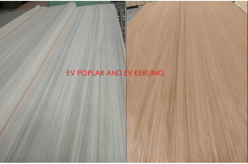 4x8x0.32mm recon poplar face veneer,engineered wood face veneer(图1)