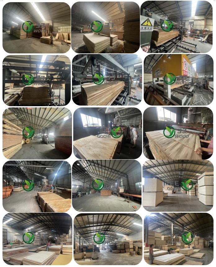 6MM 9MM 12MM 18MM Okoume face veneered hardwood/poplar core furniture grade plywood(图3)