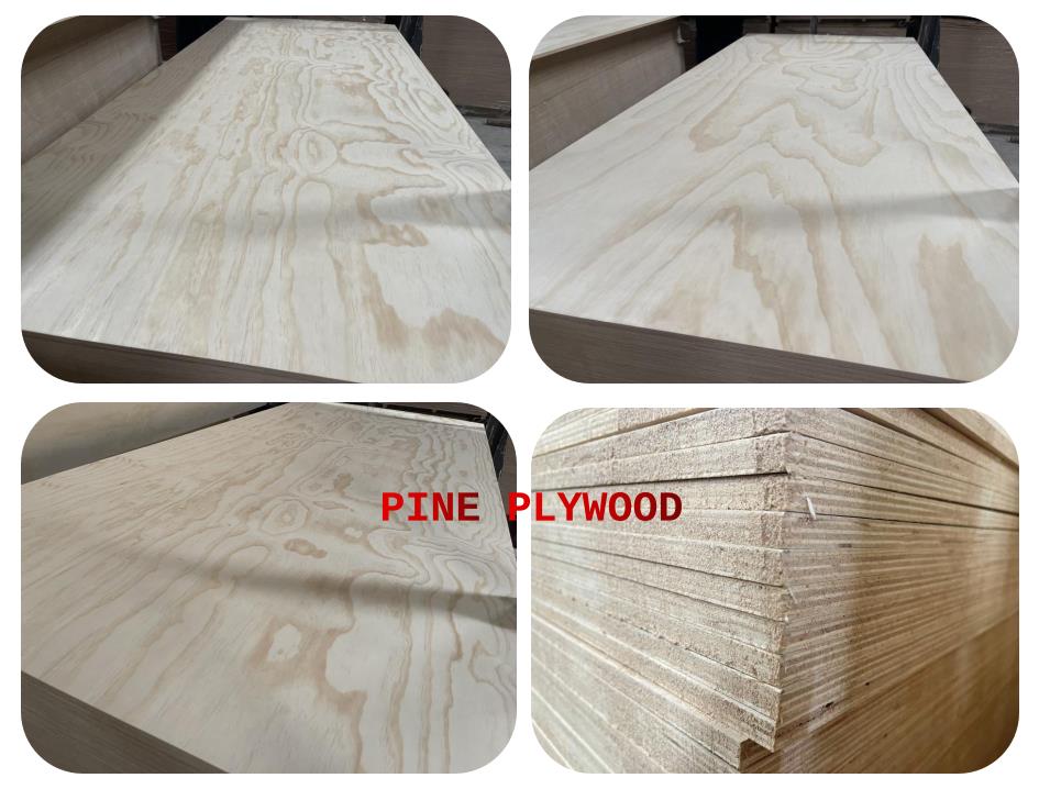9mm 12mm 18mm pine face and back furniture grade plywood panel sheet from linyi(图8)