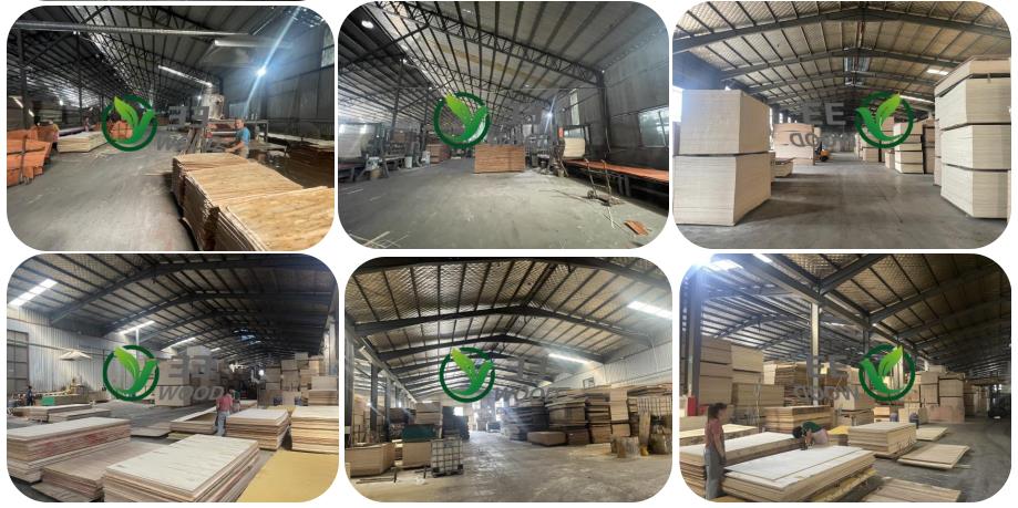 9mm 12mm 18mm pine face and back furniture grade plywood panel sheet from linyi(图5)