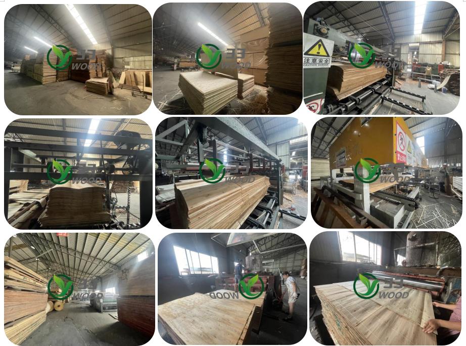 9mm 12mm 18mm pine face and back furniture grade plywood panel sheet from linyi(图4)