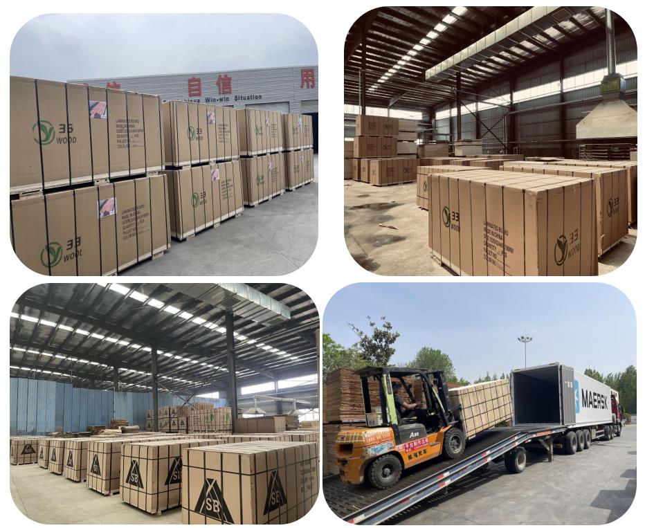 9mm 12mm 18mm pine face and back furniture grade plywood panel sheet from linyi(图13)