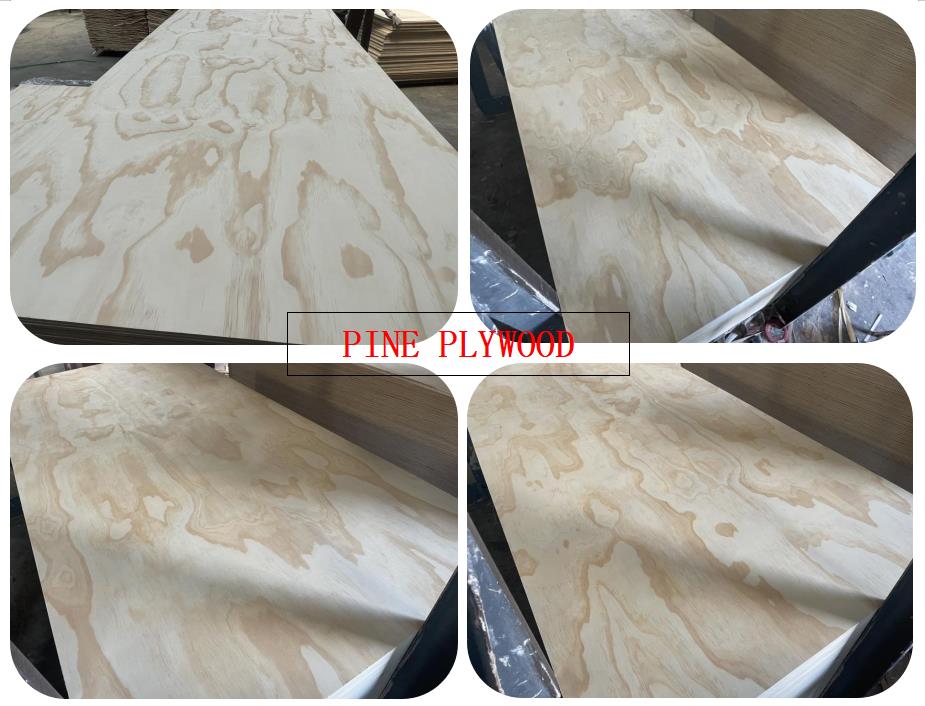 9mm 12mm 18mm pine face and back furniture grade plywood panel sheet from linyi(图10)